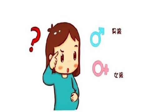 香港哪里有权威机构可以验血查男女